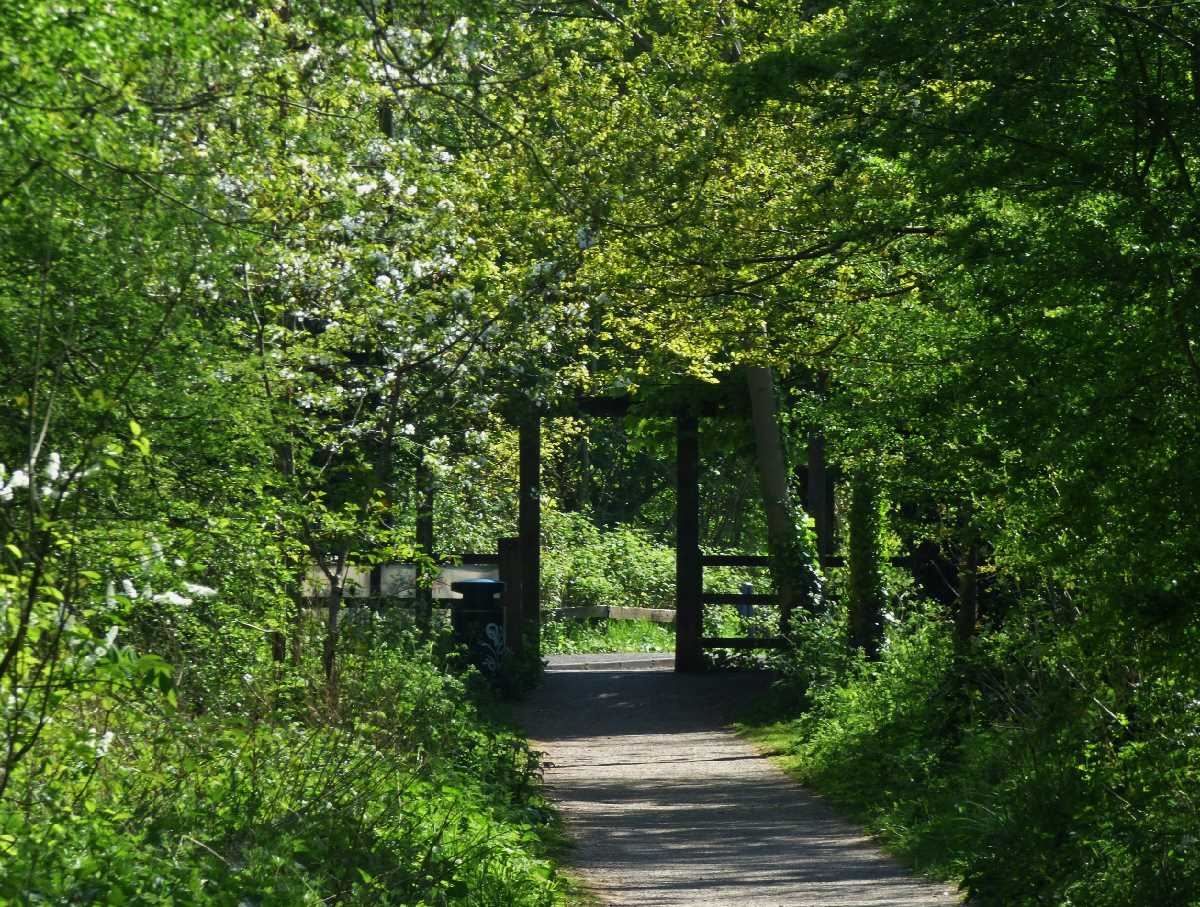 The John Morris Jones Walkway in the Shire Country Park