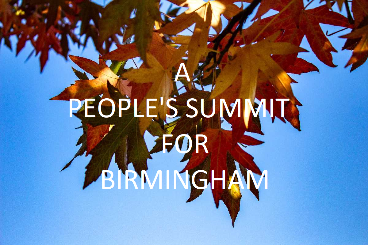 A+%60People%60s+Summit%60+to+be+held+in+Birmingham+during+2019